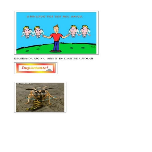 IMAGENS DA PÁGINA - RESPEITEM DIREITO...