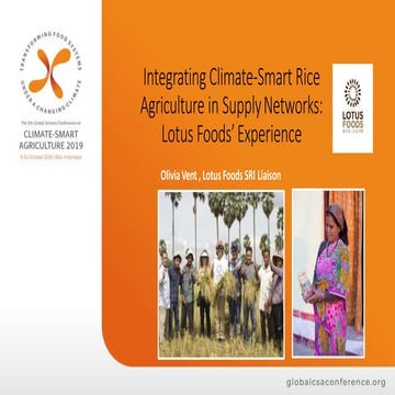 1910 - Integrating Climate Smart Rice Agriculture in Supply Networks - Lotus ...