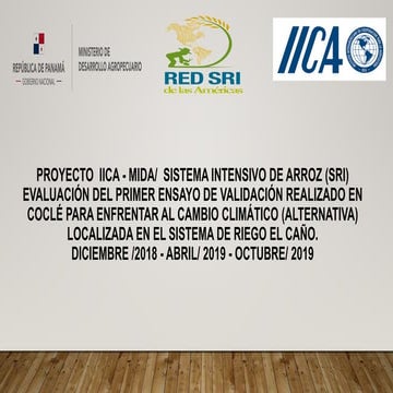 1913   Resuitados SRI MIDA-IICA Panama 2019 