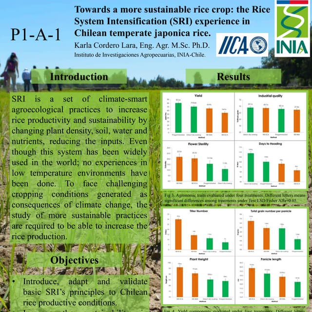 1914 Towards a More Sustainable Rice Crop: System of Rice Intensification (SR...