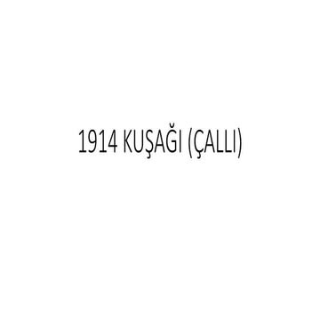 1914 kuşaği (çalli)