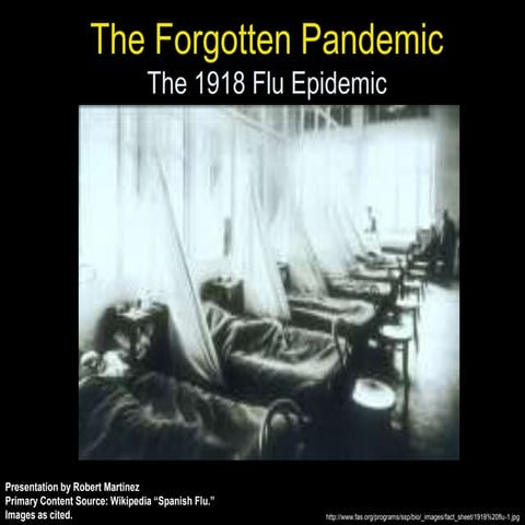 1918 Flu Epidemic