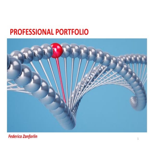 Professional Portfolio-Federico Zanforlin | PDF