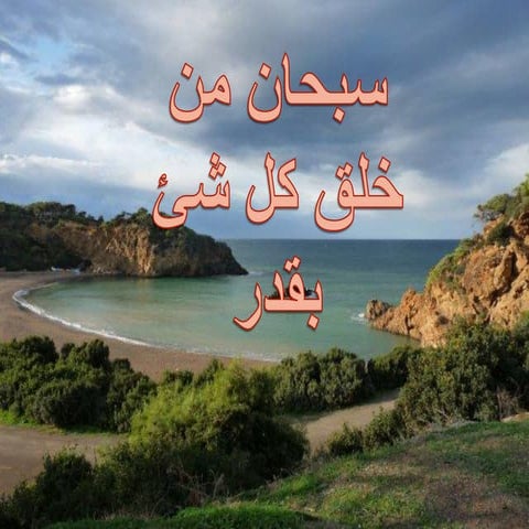 192329934-Internal-Quality-control-in-Clinical-Laboratories-pptx.pdf