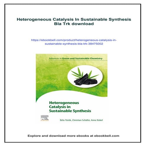 Heterogeneous Catalysis In Sustainable Synthesis Bla Trk | PDF