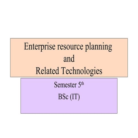 19251384 erp-and-related-technologies