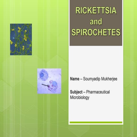 RICKETTSIA and SPIROCHETES