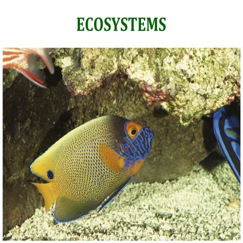 Ecosystem environmental studies unit:2