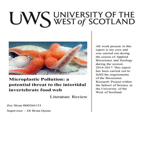 Microplastic Pollution - Presentation | PPTX