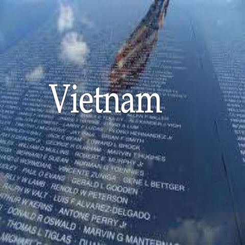 1960's history project