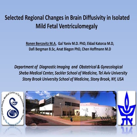 selected regional changes ] Final4 (1)