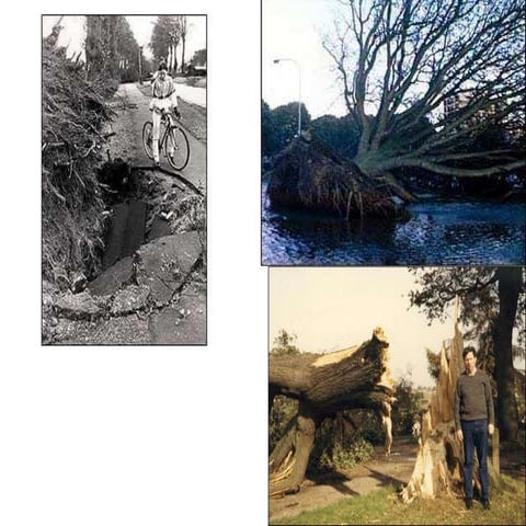 Climate: 1987 Storm in Pictures | PPT