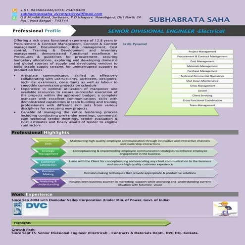 SUBHABRATA_SAHA_GRAPHICAL_RESUME_Latest