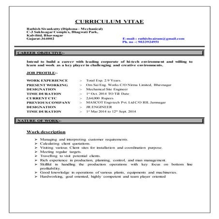 cv new | DOCX