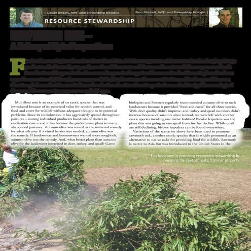 Sawtooth Oak - A Fallacy of Epic Proportions