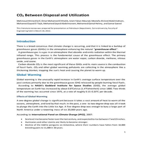 CO2 Between Disposal and Utilization