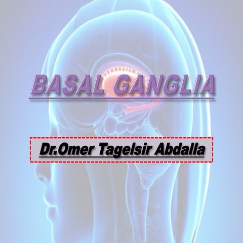 Detailed presentation slides about Basal Nuclei | PDF