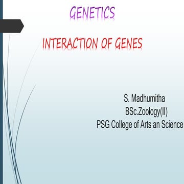 Interaction of Genes
