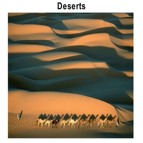 19 deserts forstudents