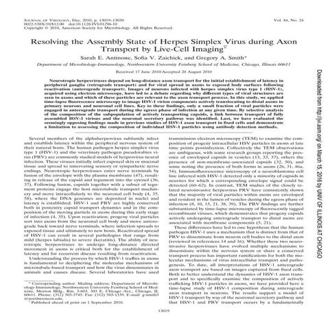 J. Virol.-2010-Antinone-13019-30