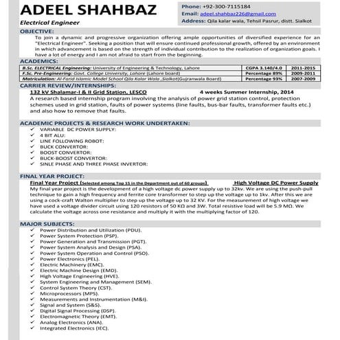 curriculum vitae(CV)