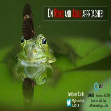 On Risks and Agile Approaches