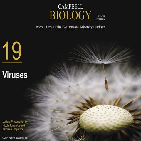 19_Lecture_Presentation.pptxAPBioCampbellP