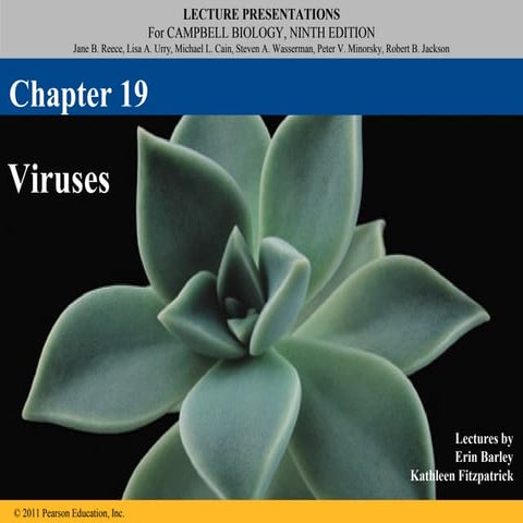 19 lecture viruses