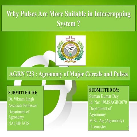 Why Pulses Are More Suitable in Intercropping System ?