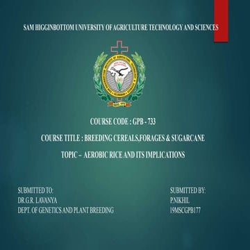 Aerobic Rice and Its Implication