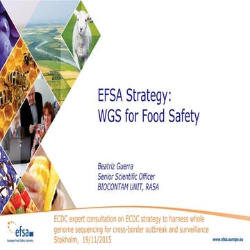EFSA Strategy: WGS for Food Safety
