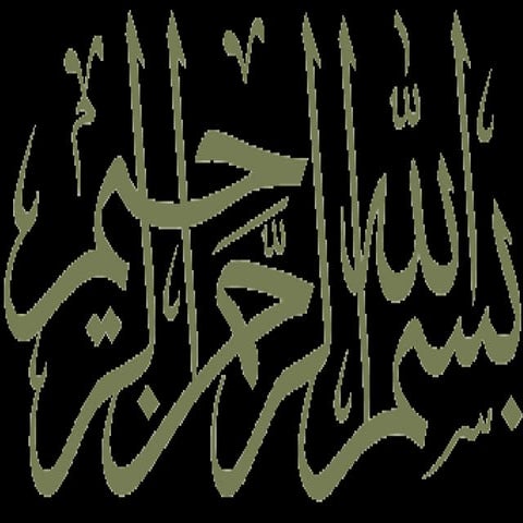 19 urbanization,import and export,culture of pakistan