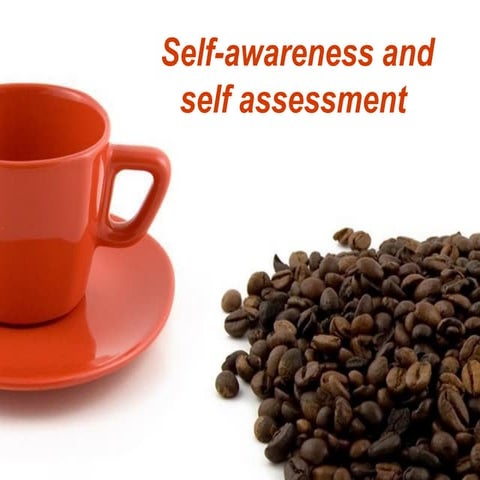 elf-awareness-johari-window- psych nursing level 3