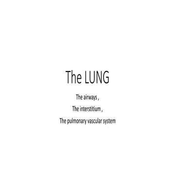 1a. The Lung.pdf 2.pdfhhhhhhhhhhhhhhhhhhh