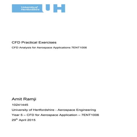 CFD-Assignment_Ramji_Amit_10241445