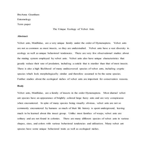 The Unique Ecology of Velvet Ants