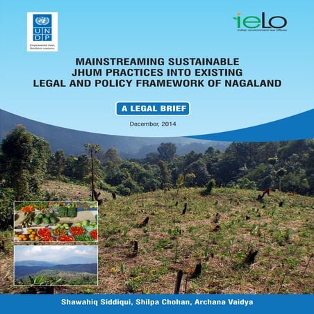 UNDP IELO_LEGAL BRIEF DEC-014