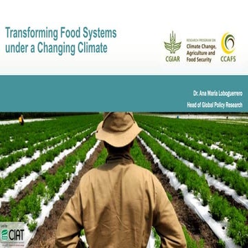 Transforming Food Systems under a Changing Climate - Ana Maria ...