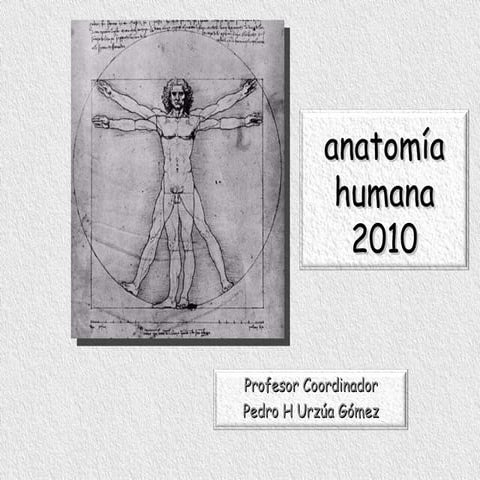 1°anatomía humana 2010 | PPT