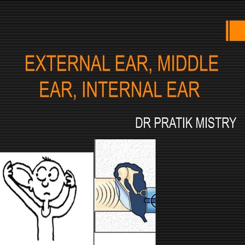  anatomy of ear