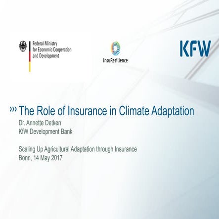 Annette Detken: The role of insurance in climate adaptation | PDF