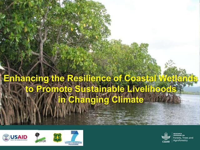 thumbnail of  Enhancing the Resilience of Coastal Wetlands to Promote Sustainable Livelihoods in Changing Climate