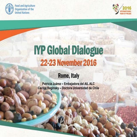 Report from IYP Regional Dialogues - Latin America and the Caribbean
