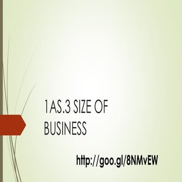 Topic 3 Size of business Cambridge AS and A Level