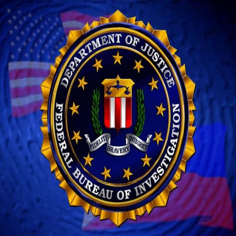 Fingerprint Classification- Loop Patterns