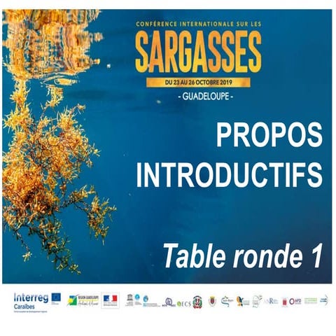 Stéphane Pacaud - Sargassum Agricultural Valorization and Energy ...