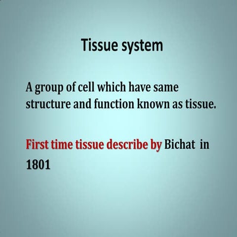 Tissue system by kishan kumar m. SC lnmu.