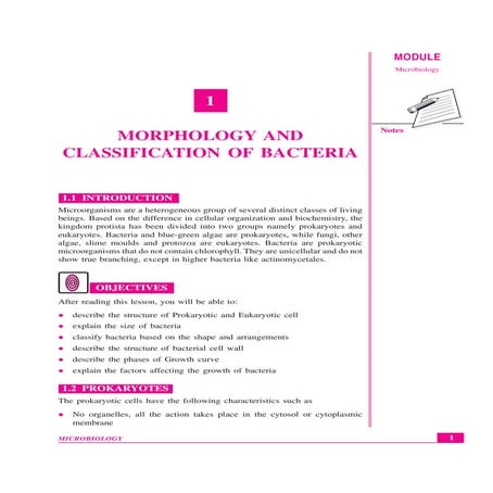 CLASSIFY BACTERIA