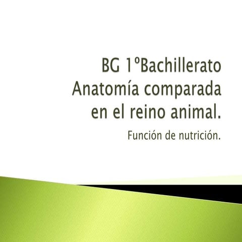 1BACH Anatomía comparada: función de nutrición.