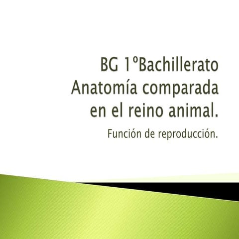 1BACH Anatomía comparada animal. Función de reproducción.